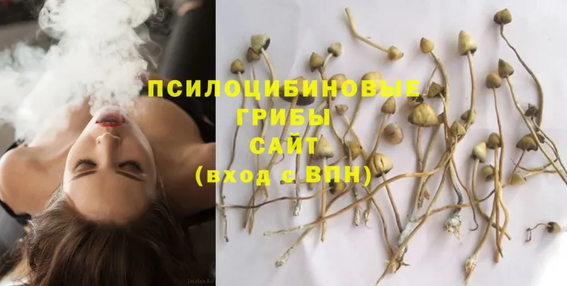 Псилоцибиновые грибы Magic Shrooms Лысьва